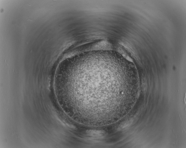 X0000088030255200705182032