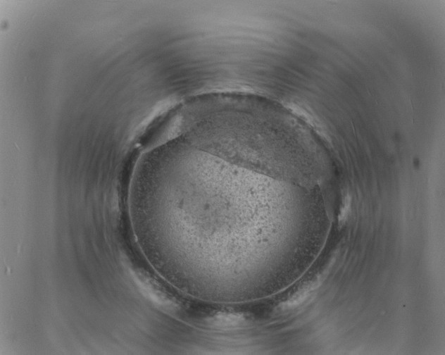 X0000088030256200705182032