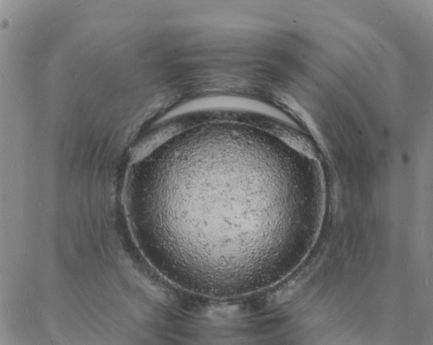 X0000088030257200705182033