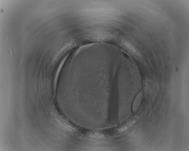 X0000088030258200705182033