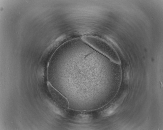 X0000088030260200705182033