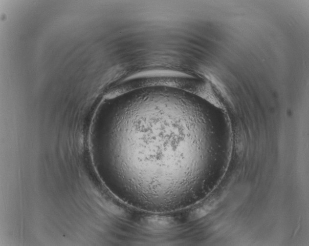 X0000088030261200705182033