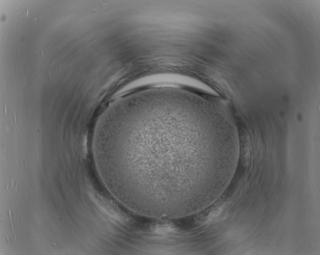 X0000088030262200705182033