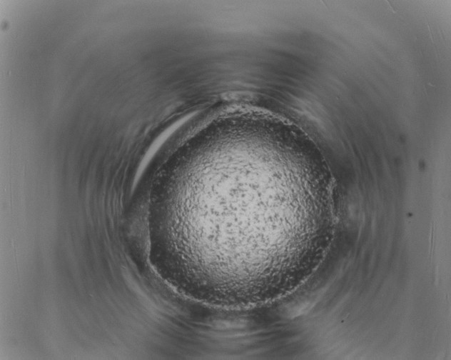 X0000088030263200705182033