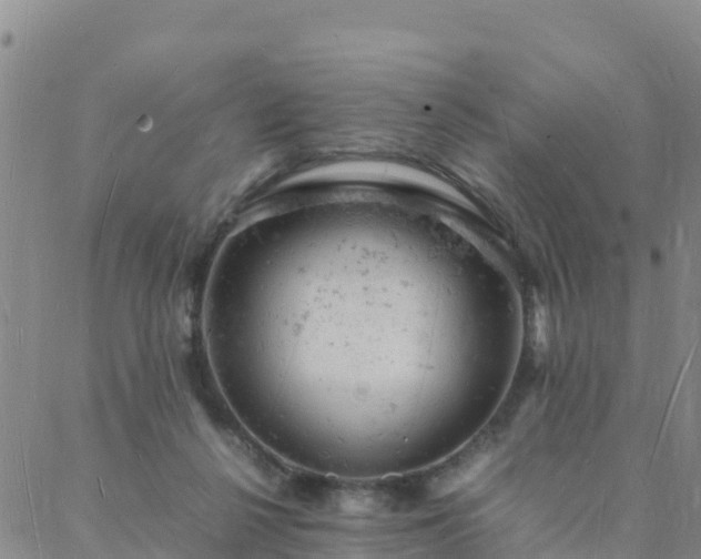 X0000088030264200705182033