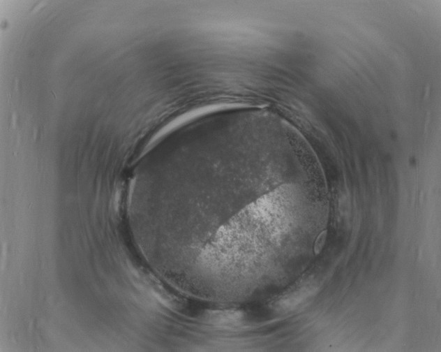 X0000088030266200705182033