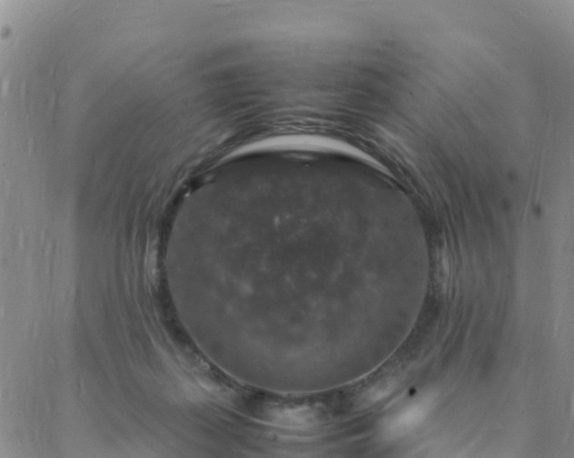 X0000088030267200705182033