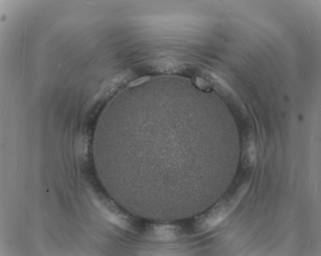 X0000088030268200705182033