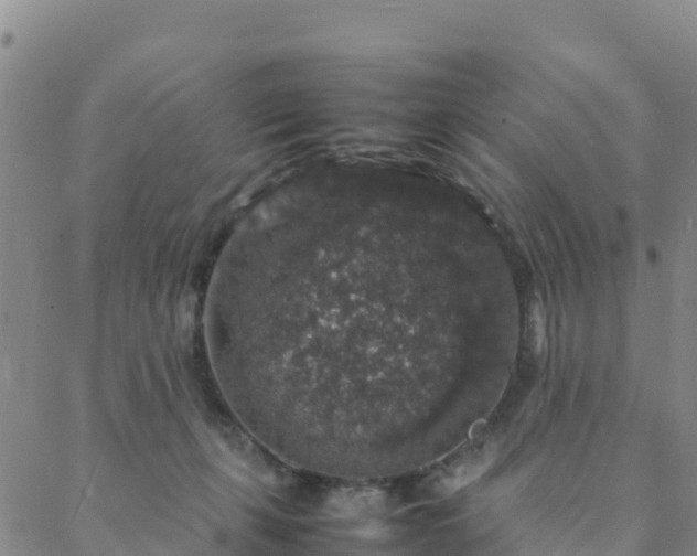 X0000088030271200705182033