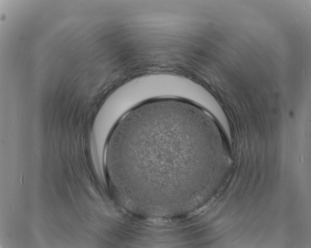 X0000088030272200705182033