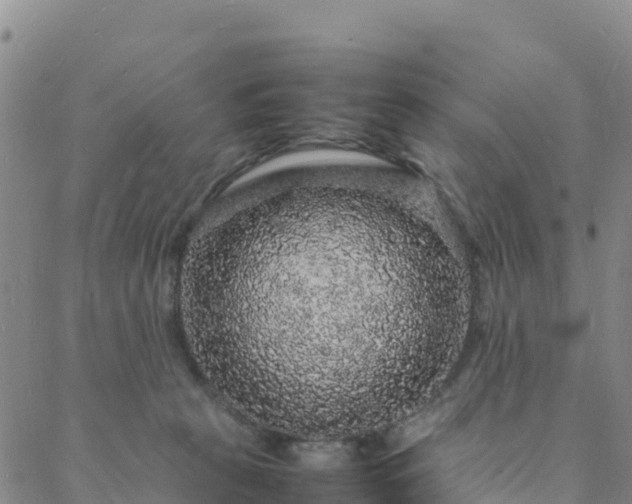 X0000088030273200705182033