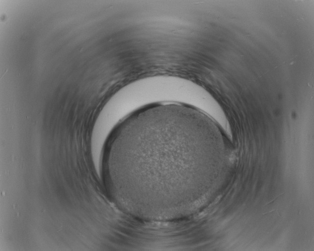 X0000088030276200705182033