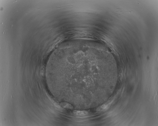 X0000088030277200705182033