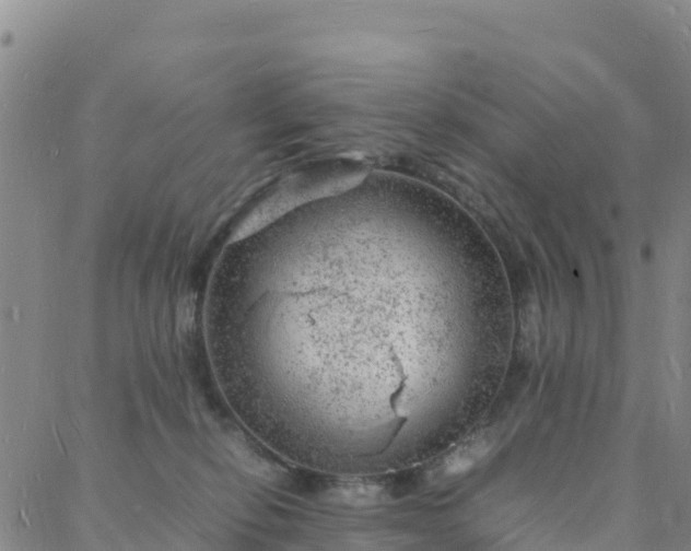 X0000088030278200705182033