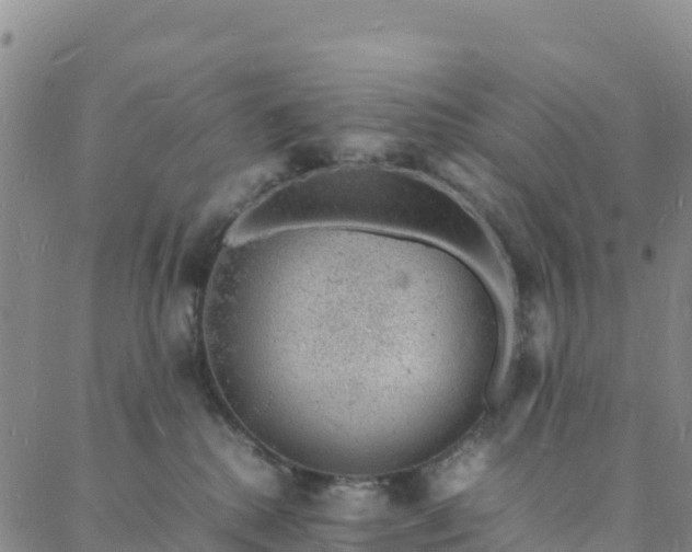 X0000088030280200705182033