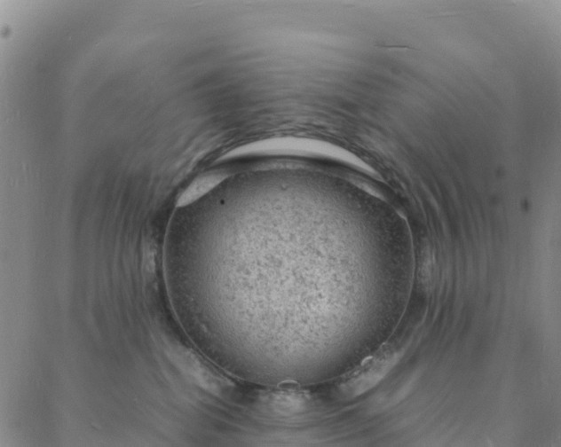 X0000088030282200705182033