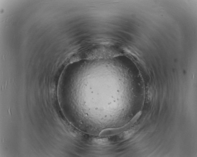 X0000088030283200705182033