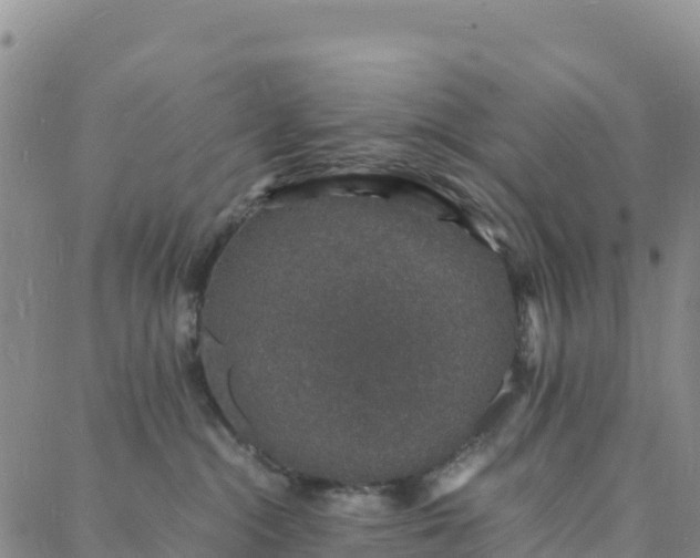 X0000088030284200705182033