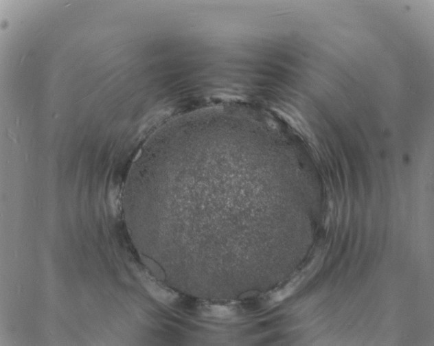 X0000088030285200705182033