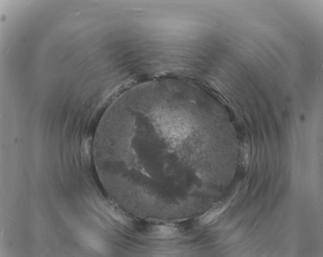 X0000088030286200705182033