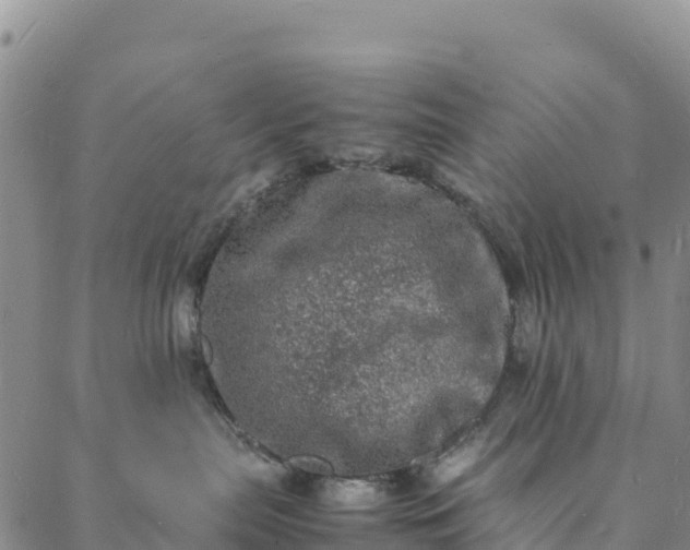 X0000088030287200705182033