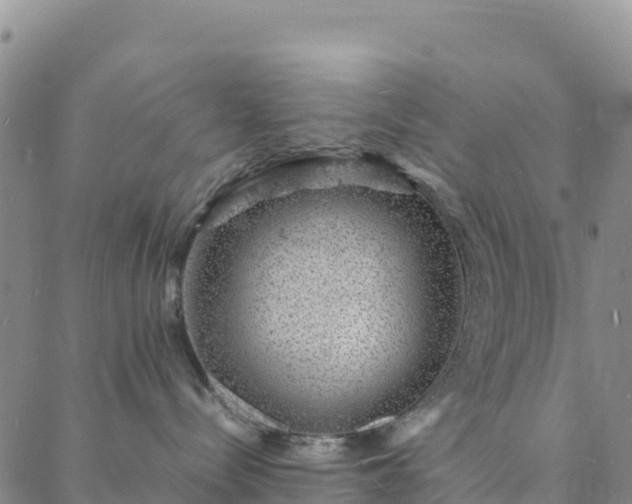 X0000088030288200705182033