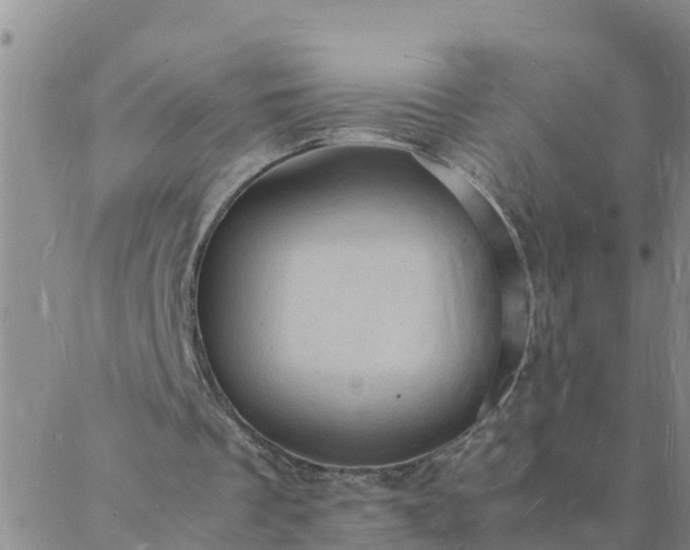 X0000088030289200705182032