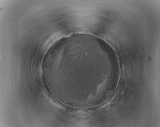 X0000088030290200705182032