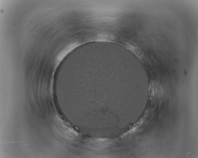 X0000088030292200705182032