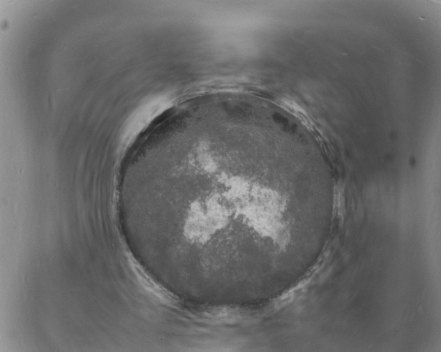 X0000088030293200705182032