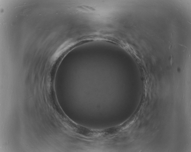 X0000088030295200705182032