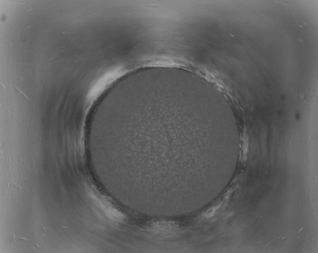 X0000088030296200705182032