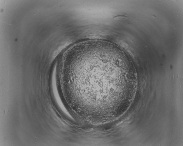 X0000088030299200705182032