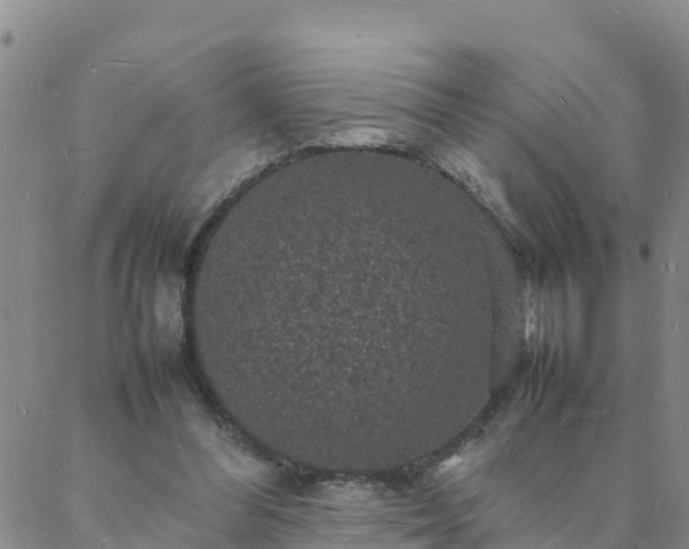 X0000088030300200705182032