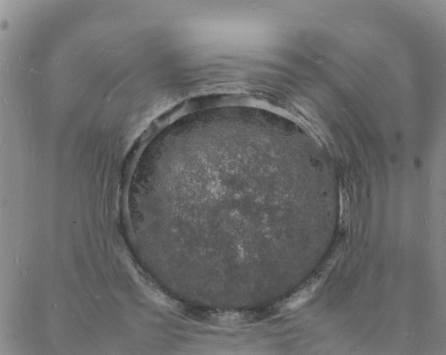 X0000088030301200705182032