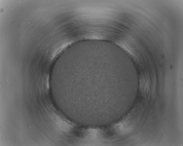 X0000088030302200705182032