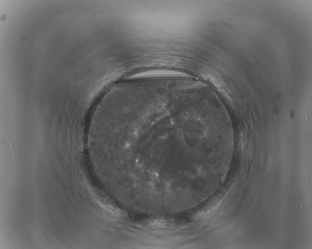 X0000088030303200705182032