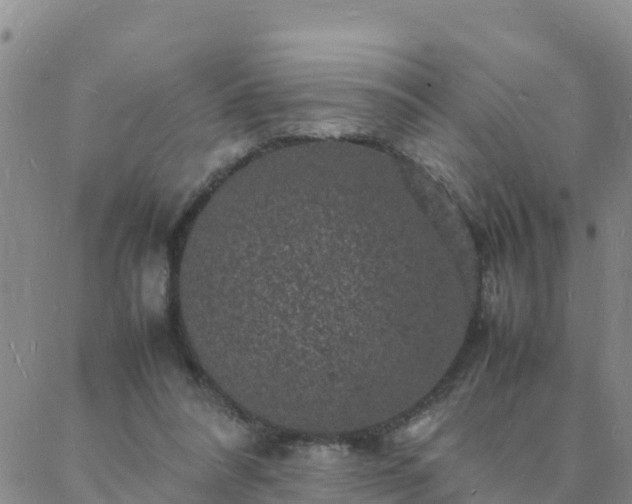 X0000088030304200705182032