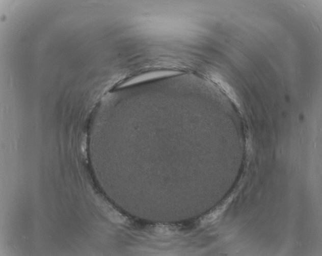 X0000088030305200705182032