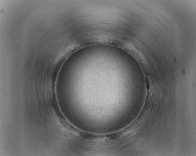 X0000088030306200705182032