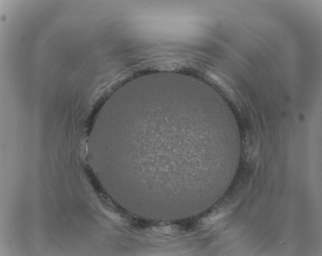 X0000088030307200705182032