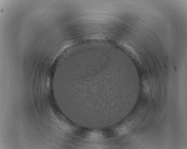 X0000088030308200705182032