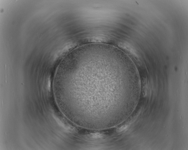 X0000088030310200705182032