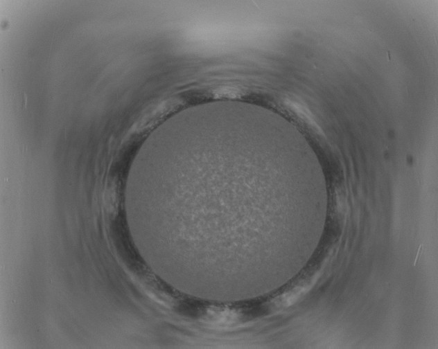 X0000088030311200705182032