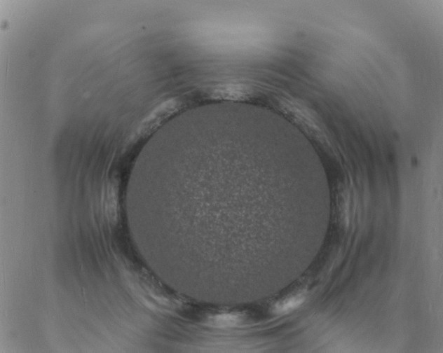 X0000088030312200705182032