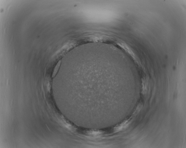 X0000088030313200705182032