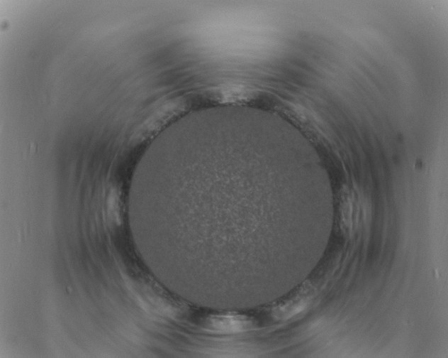 X0000088030316200705182032