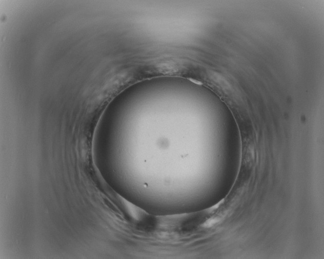 X0000088030317200705182032