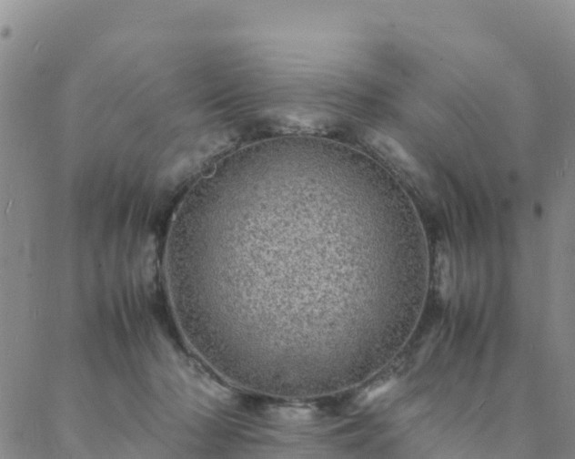 X0000088030318200705182032