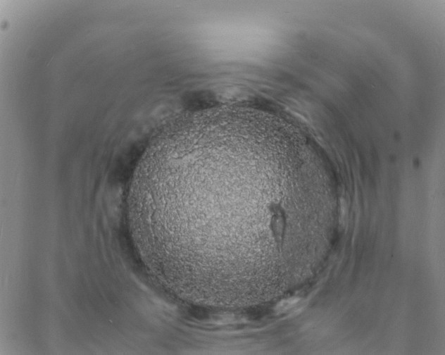 X0000088030319200705182032